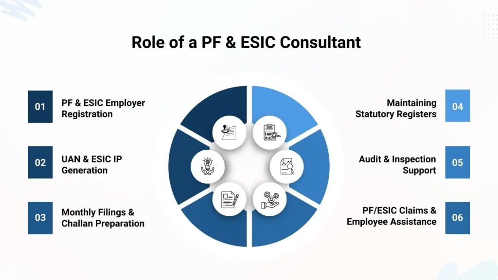 Key responsibilities of a PF and ESIC consultant
